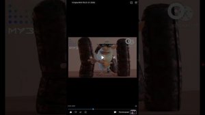 10 буба от 2026