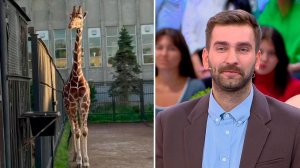 "Принял решение опекать жирафа" - жених шоу "Давай поженимся!" рассказал о своем хобби