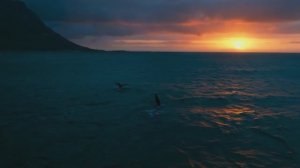 МУЗЫКА ДЛЯ СНЯТИЯ СТРЕССА И БЫСТРОГО ЗАСЫПАНИЯ