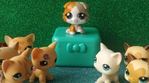 LPS Мой Кавер: Императрица