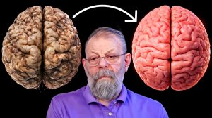 Как исключить старение мозга