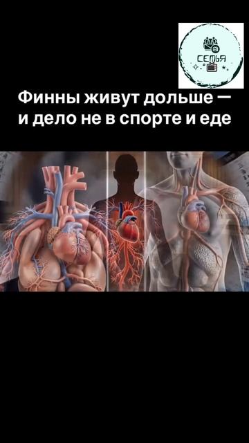 ПРИЧИНА ПОЧЕМУ ФИНЫ ЖИВУТ ДОЛЬШЕ смотреть онлайн