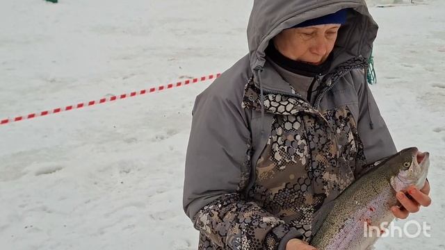 3602.mp4 смотреть онлайн