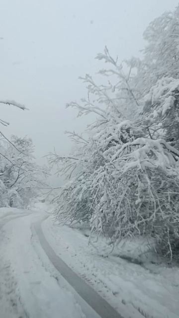 В Абхазии зима тоже не спит... смотреть онлайн