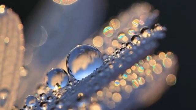 Песочные замки Музыка для души Анна Зуева [get.gt] @anna_i_zueva смотреть онлайн