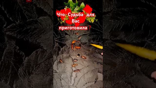 ☝️какие перемены идут❓✨ #таро #tarot #shorts смотреть онлайн