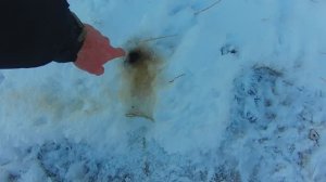 Нашёл место где рыба задыхалась от замора"Начало" часть 1