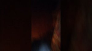 Как я играл с котёнком 2 часть