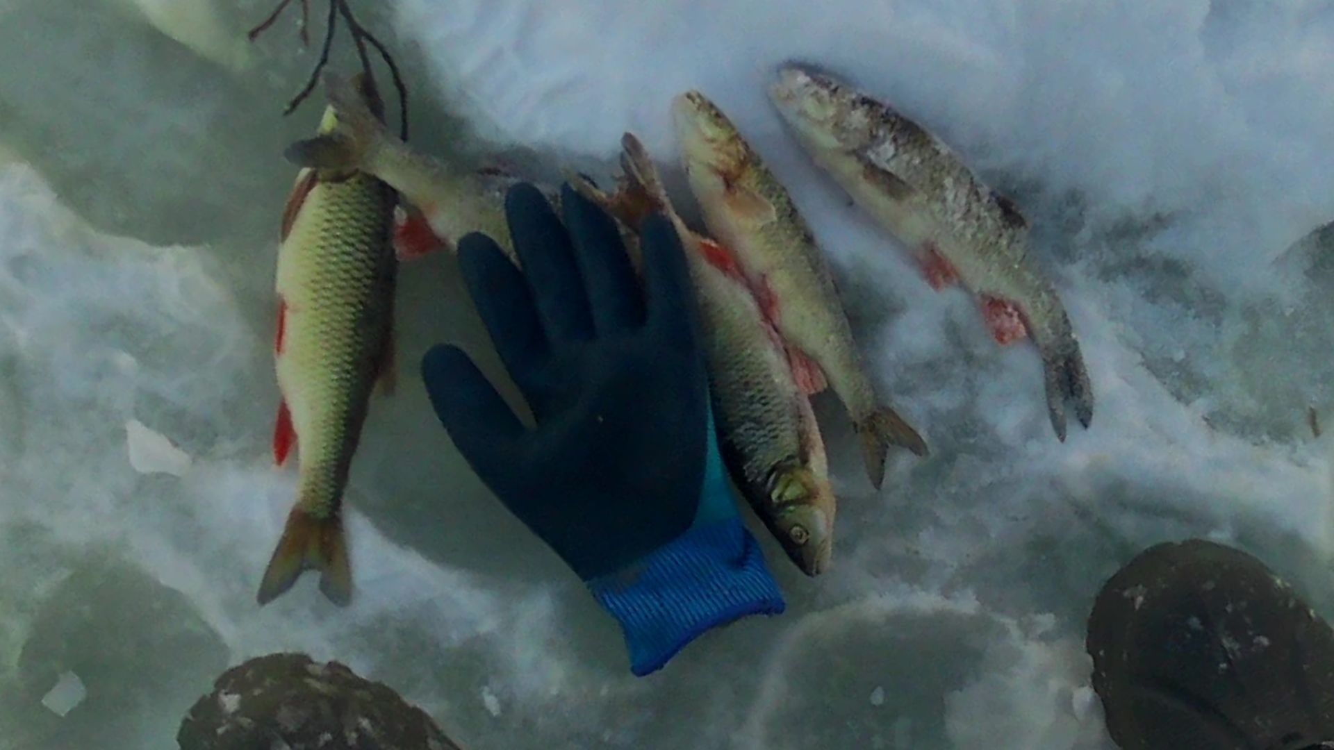 Ловля голавля в морозные январские дни смотреть онлайн