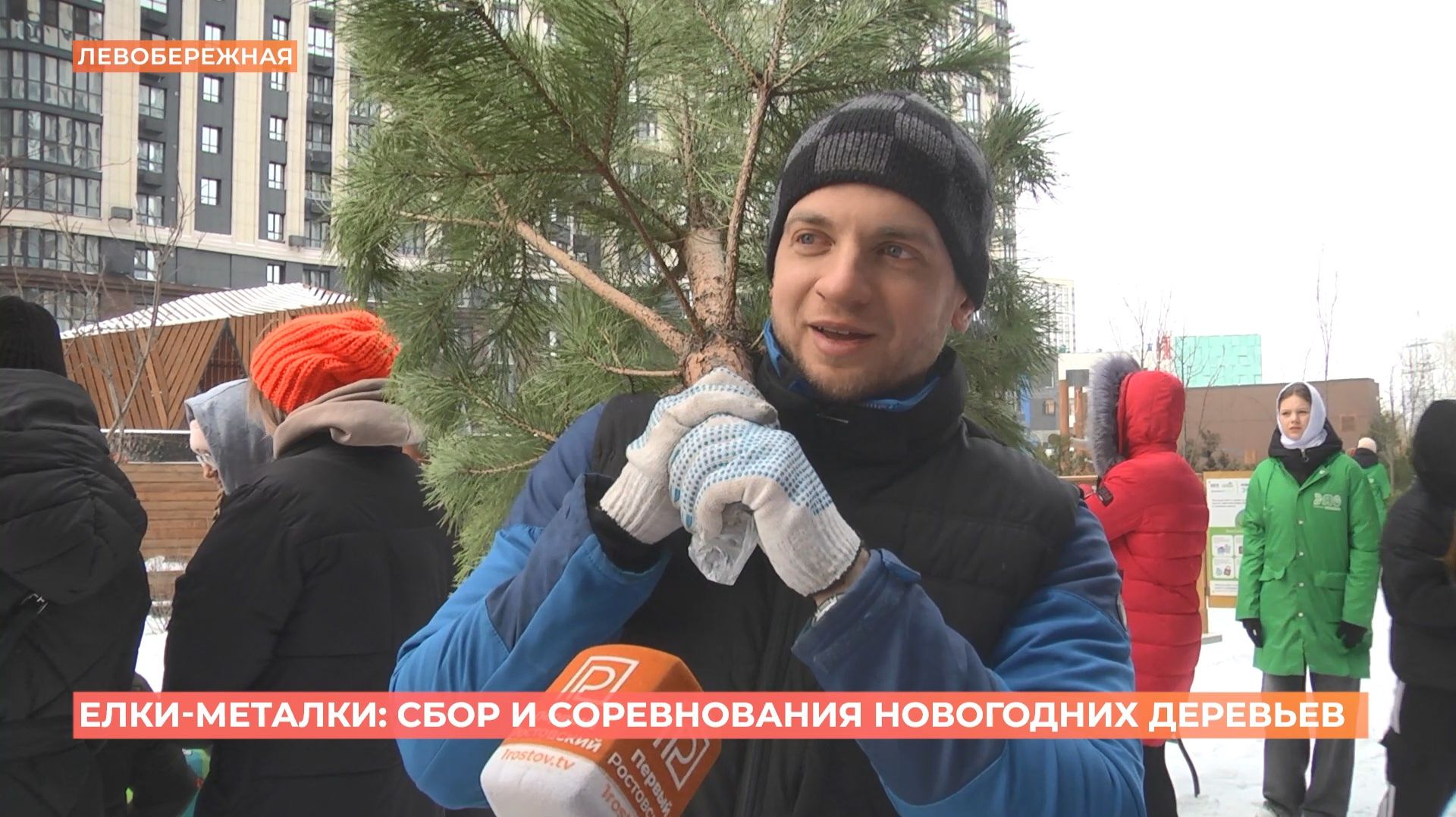 "Елки-металки": акция по сбору и метанию новогодних деревьев прошла в Ростове смотреть онлайн