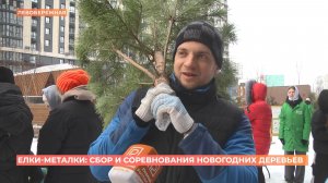 "Елки-металки": акция по сбору и метанию новогодних деревьев прошла в Ростове