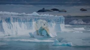 Ледниковый период: как он меняет климат?