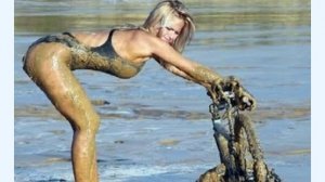 Сборник Приколов 2025