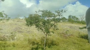 Куба | от Аэропорта до Отеля | Welcome Экскурсия