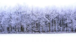 Магический Старт_ С 20 Января Белая Полоса для Избранных