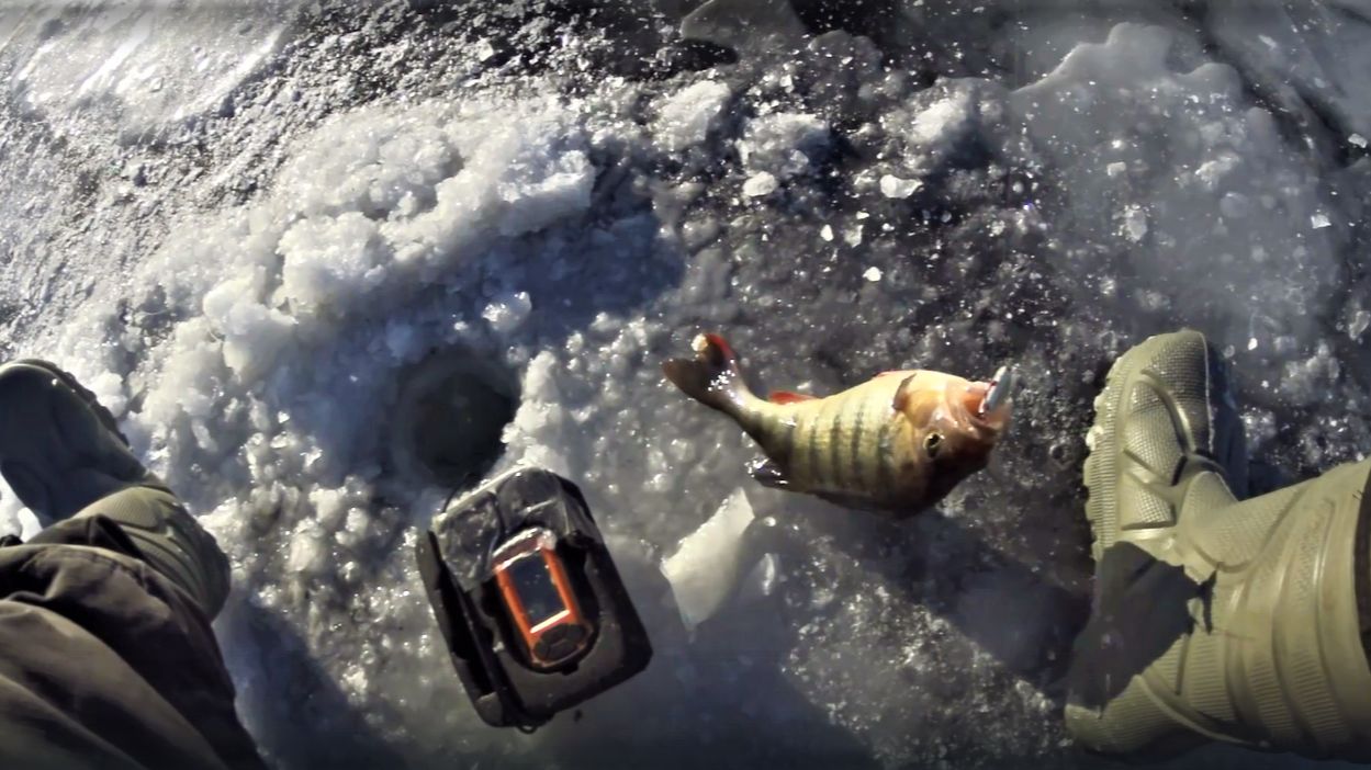 ЭТА СНАСТЬ КОСИТ РЫБУ!!! ЛОВЛЯ ОКУНЯ В ГЛУХОЗИМЬЕ... смотреть онлайн