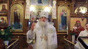 Проповедь епископа Дамиана(Давыдова)на праздник Богоявления.19.01.2017