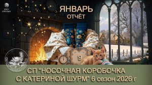 ОТЧЁТ ЯНВАРЬ в СП "Носочная коробочка с Катериной Шурм", 6 сезон, 2025 год