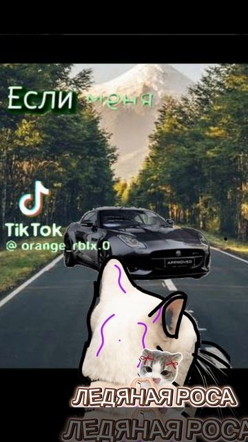 Что тут писать? | Держите, покушайте) | ВИДЕО МОЁ! смотреть онлайн