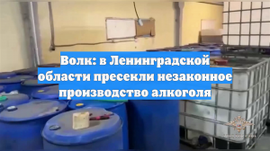 Волк: в Ленинградской области пресекли незаконное производство алкоголя