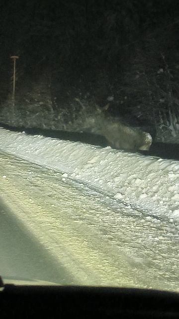 1000000060.mp4 смотреть онлайн