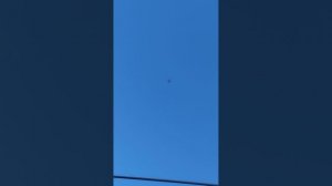 г.Мариуполь полёт жучков 
19 января 2026год.