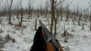 Я СТОЛЬКО ЗАЙЦА ЗА ВСЮ ЖИЗНЬ НЕ ВИДЕЛ! Супер охота на зайца 2026