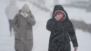 Врач перечислил признаки аллергии на мороз