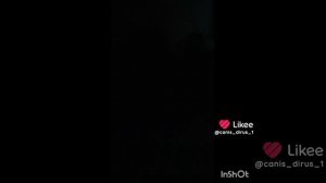 И не спрашивайте что с хозяйкой 🐺😈🐺😈🐺