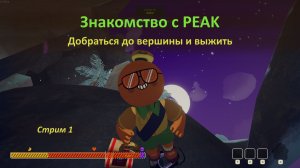 Знакомство с PEAK: добраться до вершины и выжить