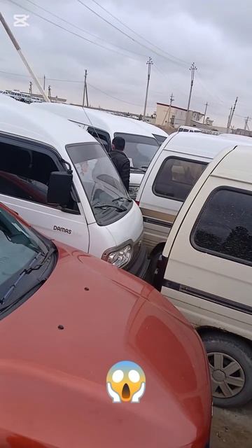 зафрафкалар илинди смотреть онлайн