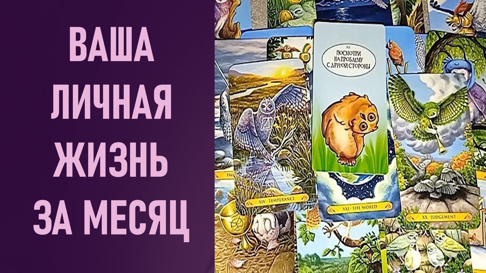 ВАША ЛИЧНАЯ ЖИЗНЬ ЗА МЕСЯЦ ⁉️ таро 🖤 расклад таро 🌞 таро онлайн 🗝️ гадание таро 🦉