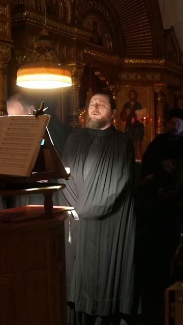 ИСТИННЫЙ СВЕТ ЯВИСЯ | ИЕРОДИАКОН АМВРОСИЙ | ВАЛААМСКИЙ МОНАСТЫРЬ #валаам #знаменное смотреть онлайн