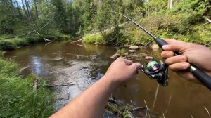 Река Сестра Лен. Область