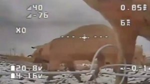 Хохлы обнаружили нашего ждуна-камикадзе, но разминировать его им не удалось.😎