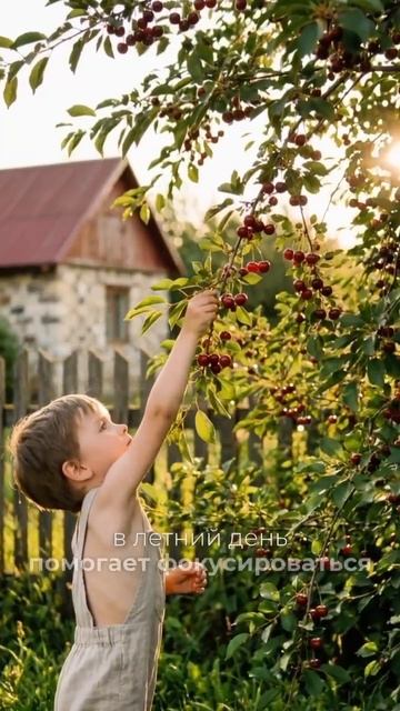 Новинка от компании Veritate
https:veritate.storelg2Vki8