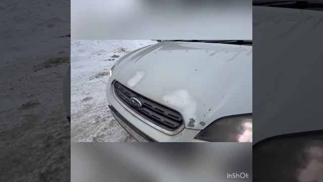 Сабуру аутбек смотреть онлайн