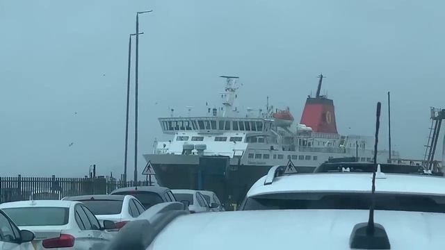 Случаи в Природе Один на Миллион. Видео из интернета. смотреть онлайн