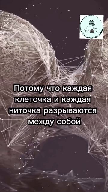 ТАК ВЫГЛЯДИТ НЕЙРОННАЯ ЭНЕРГЕТИЧЕСКАЯ СВЯЗЬ МЕЖДУ ЛЮДЬМИ смотреть онлайн