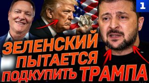 Зеленский пытается подкупить Трампа