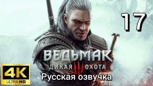 Ведьмак 3: Дикая Охота. Семнадцатая серия. Русская озвучка