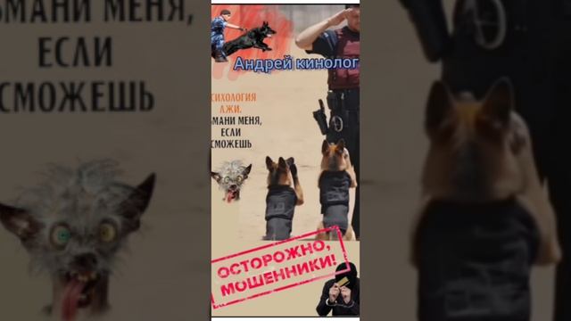 Собрание сочинений смотреть онлайн