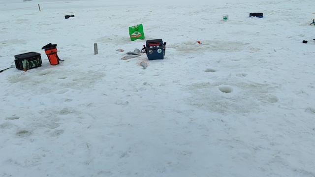 video5436051711825316794 смотреть онлайн