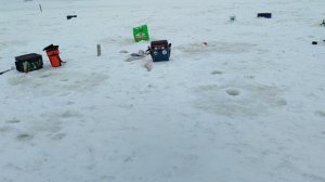 video5436051711825316794