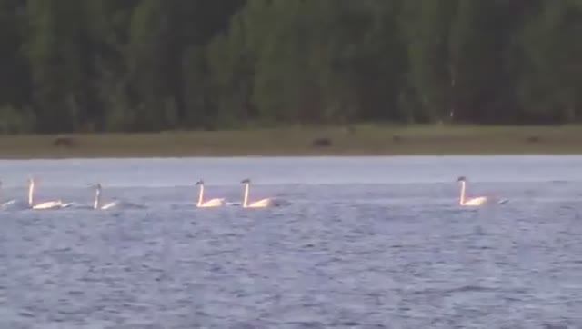 Рыбалка на дергача,удочкой с катера на Белом море! смотреть онлайн