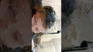 если увижу голубой цвет проиграю