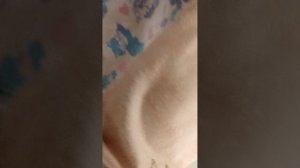 София болеет мы пошли к врачу к завтра в приёмный покой