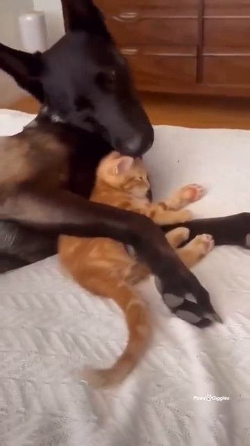 Друзья смотреть онлайн