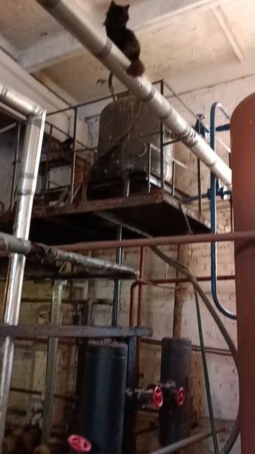 Оператор адской котельной