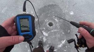 ЗРЯ Я В НЕГО НЕ ВЕРИЛ. НОВАЯ ПОДАЧА И ПОЛНЫЕ сани рыбы_ рыбалка на СУДАКА